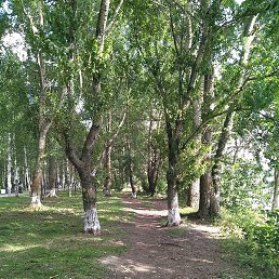 ����, �����������, 48 ���