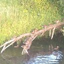  , -, 43  -  18  2023    