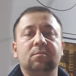 ������, �����, 39 ���