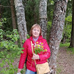 ���� �������, ������, 66 ��� - ��������� 23 ��� 2023