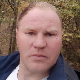 �����, ��������, 31 ���