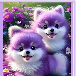 ���� �����, ����� (�������), 33 ���� - ��������� 12 �������� 2023