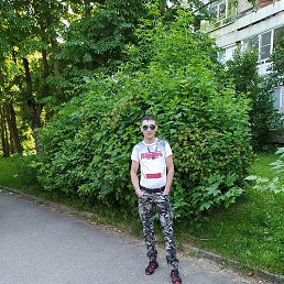 �������, ������, 41 ���