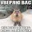 ���� Qq, ����, 25 ��� - ��������� 27 ��� 2023