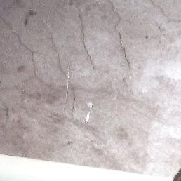 ��������, ������, 56 ���