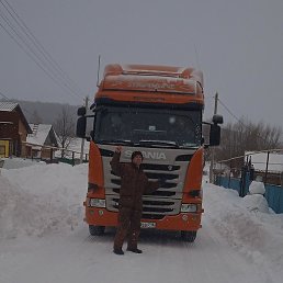 ���, ������, 37 ���