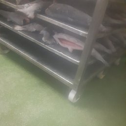 ��������, ������, 30 ���