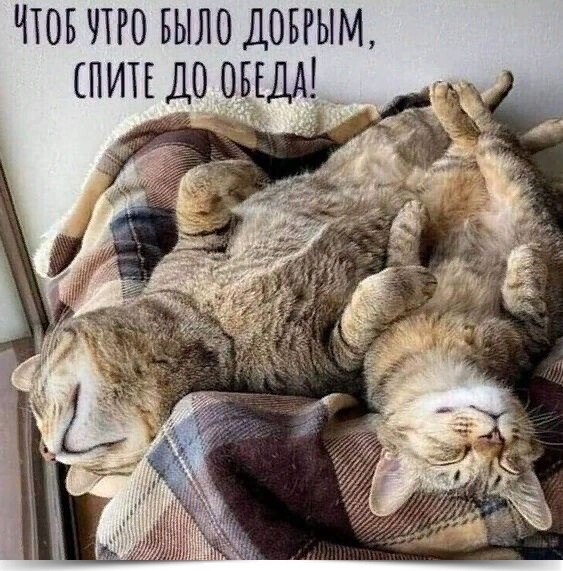  ! :).~~ ~ ~~ ~ ~~ ~ ~~ ~ ~~ ~ ~~