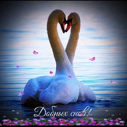 ���� ���������, �����, 45 ��� - ��������� 10 ��� 2023