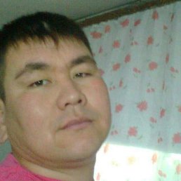 �����, ������, 41 ���