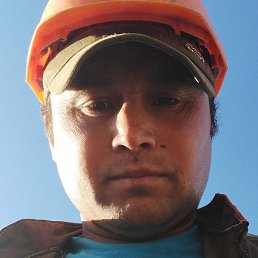 �����, ������, 41 ���