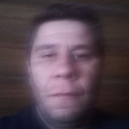 ������, ������, 46 ���