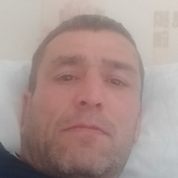 �������, ���������, 44 ����