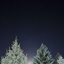 ���������, ���������, 52 ����