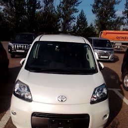 ���� ����, �����������, 36 ��� - ��������� 10 �������� 2023