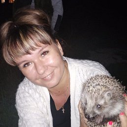 ���� ����, ������, 41 ��� - ��������� 12 �������� 2023