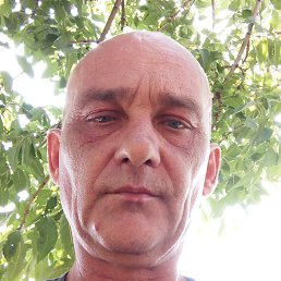 ������, �������, 52 ����