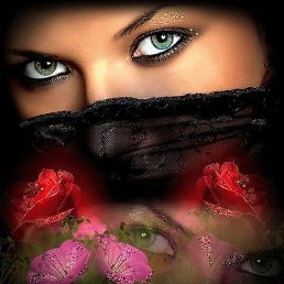 �����, ����, 54 ����