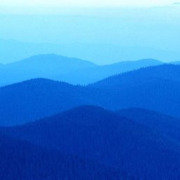 ����������, �������, 58 ���