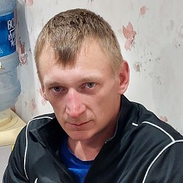 ��������, ������, 37 ���