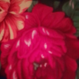 Salamat, �����������, 33 ����