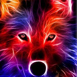 ���������, �����, 25 ���