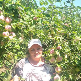 �������, ���������, 49 ���