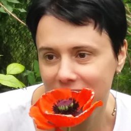 ����, �����-���������, 50 ���