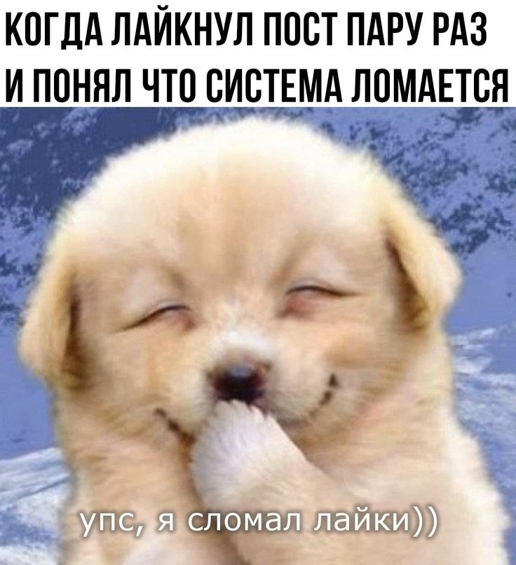☆   ☆ - 20  2023  04:28