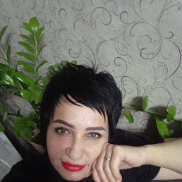 , 44, 