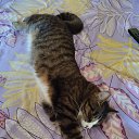 ���� �������, ���������, 49 ��� - ��������� 24 ������� 2023 � ������ ���� ����������