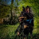 ���� �����, ���������, 53 ���� - ��������� 3 ������� 2023 � ������ ���� ����������