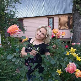 �����, �����������, 36 ���