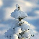 ���� �����, �����-���������, 52 ���� - ��������� 23 ���� 2023
