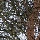 ���� ����, �������, 64 ���� - ��������� 27 ���� 2023 � ������ ���� ����������