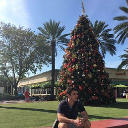 �����, ������