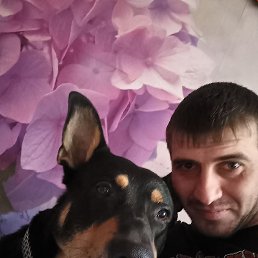 �����, ������, 36 ���