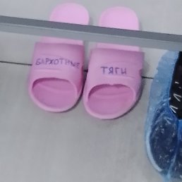 ������, ���������, 37 ���