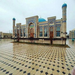 ��������, ������, 47 ���