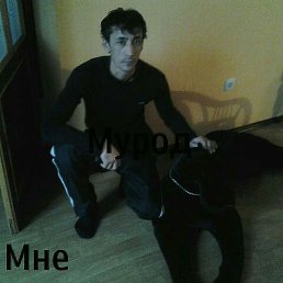 Tomyr, �����-���������, 51 ���