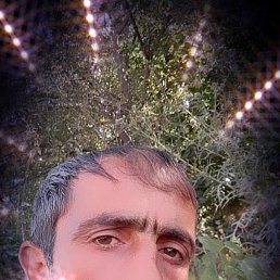 ���� ������, ���������, 48 ��� - ��������� 11 ���� 2023