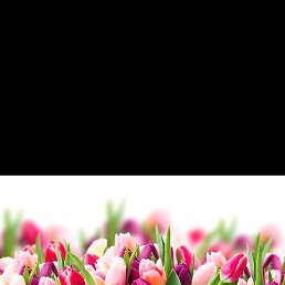 �����, ������-��-����, 47 ���