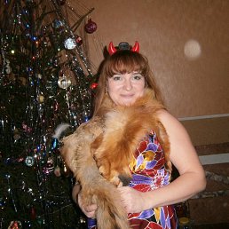 ���� �������, ����, 49 ��� - ��������� 19 ���� 2023