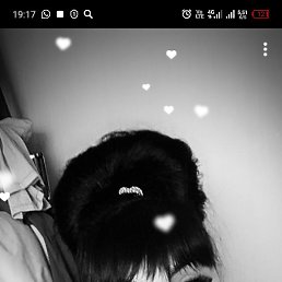 �����, �����������, 41 ���