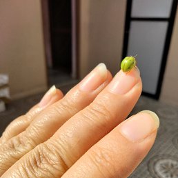 ���� Maya, ��������, 45 ��� - ��������� 25 ������� 2023