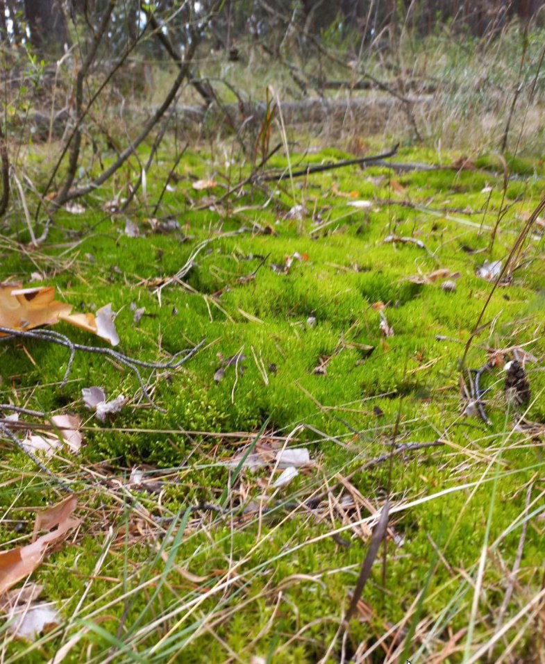  - 3  2023  18:01 - 4