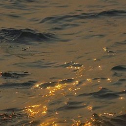 Laziz, �����, 25 ���