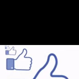 ������, �����, 44 ����