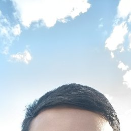 ��������, ����, 36 ���