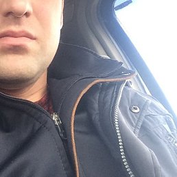 �����, ������, 41 ���